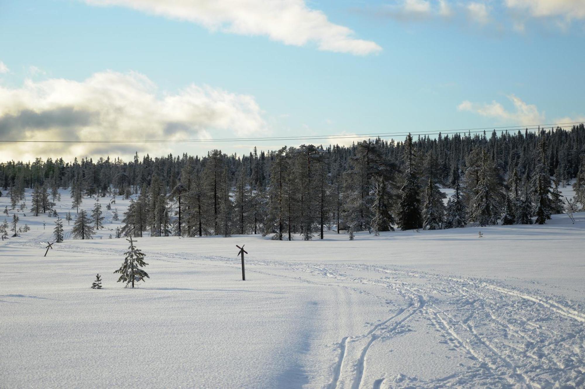 Hytte Anno 1721 Uten Internett, Strom, Vann - Men Med Rodmalt Utedo Ljordal Bagian luar foto