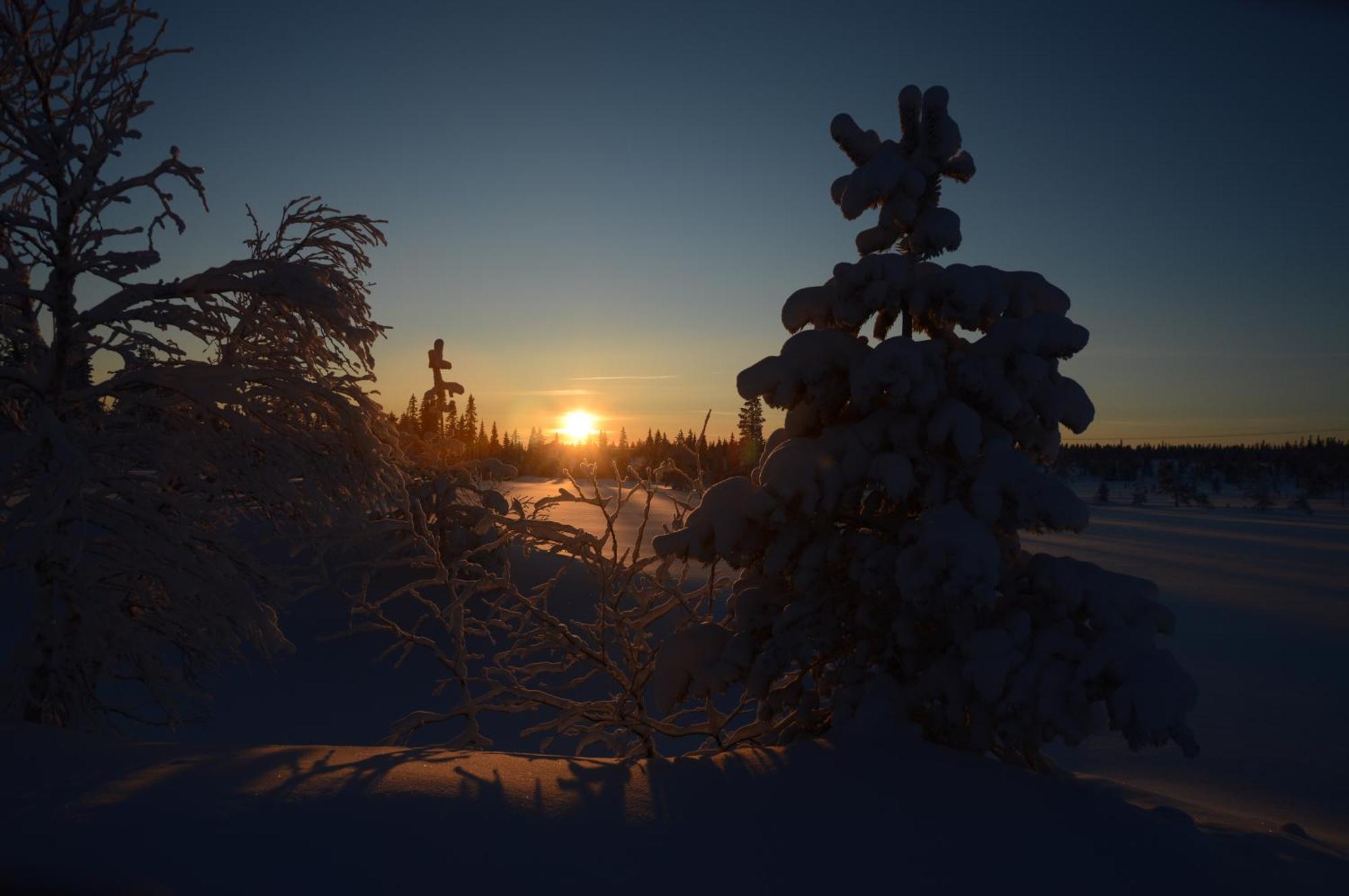 Hytte Anno 1721 Uten Internett, Strom, Vann - Men Med Rodmalt Utedo Ljordal Bagian luar foto