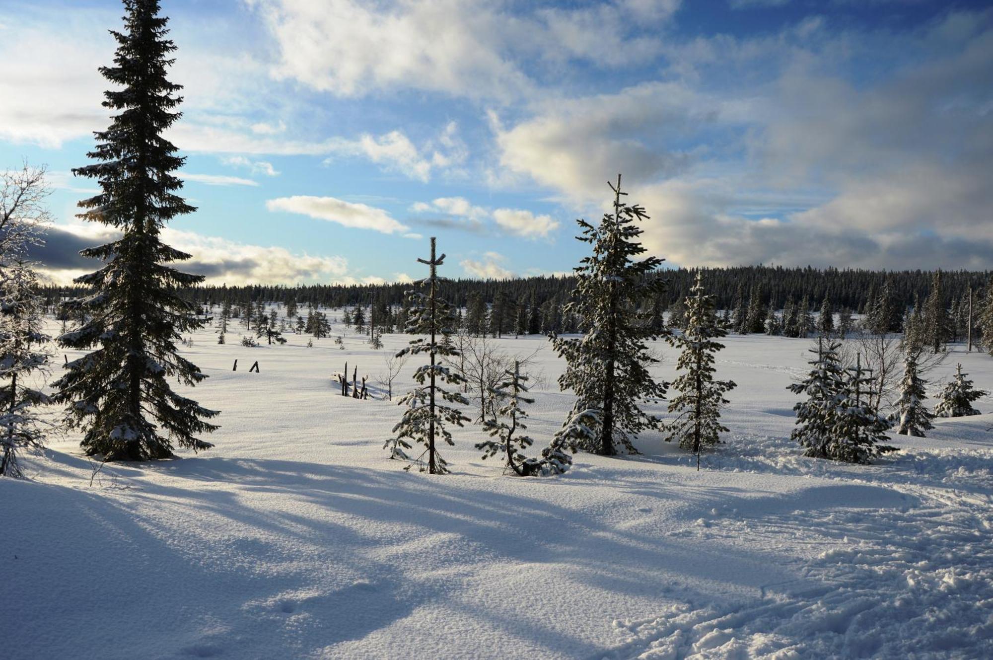 Hytte Anno 1721 Uten Internett, Strom, Vann - Men Med Rodmalt Utedo Ljordal Bagian luar foto