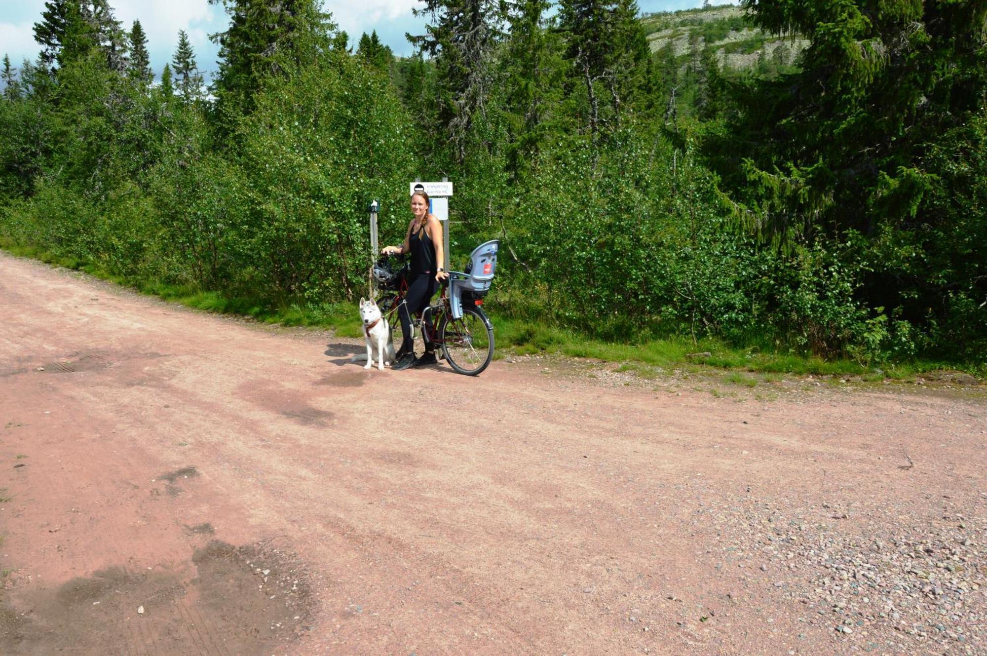 Hytte Anno 1721 Uten Internett, Strom, Vann - Men Med Rodmalt Utedo Ljordal Bagian luar foto