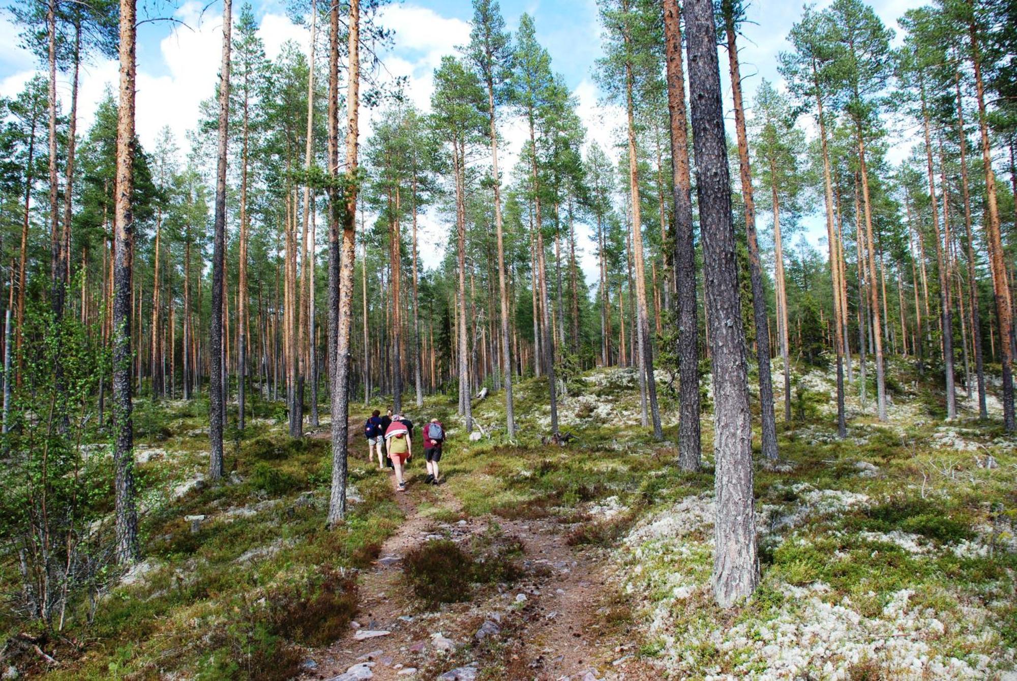 Hytte Anno 1721 Uten Internett, Strom, Vann - Men Med Rodmalt Utedo Ljordal Bagian luar foto