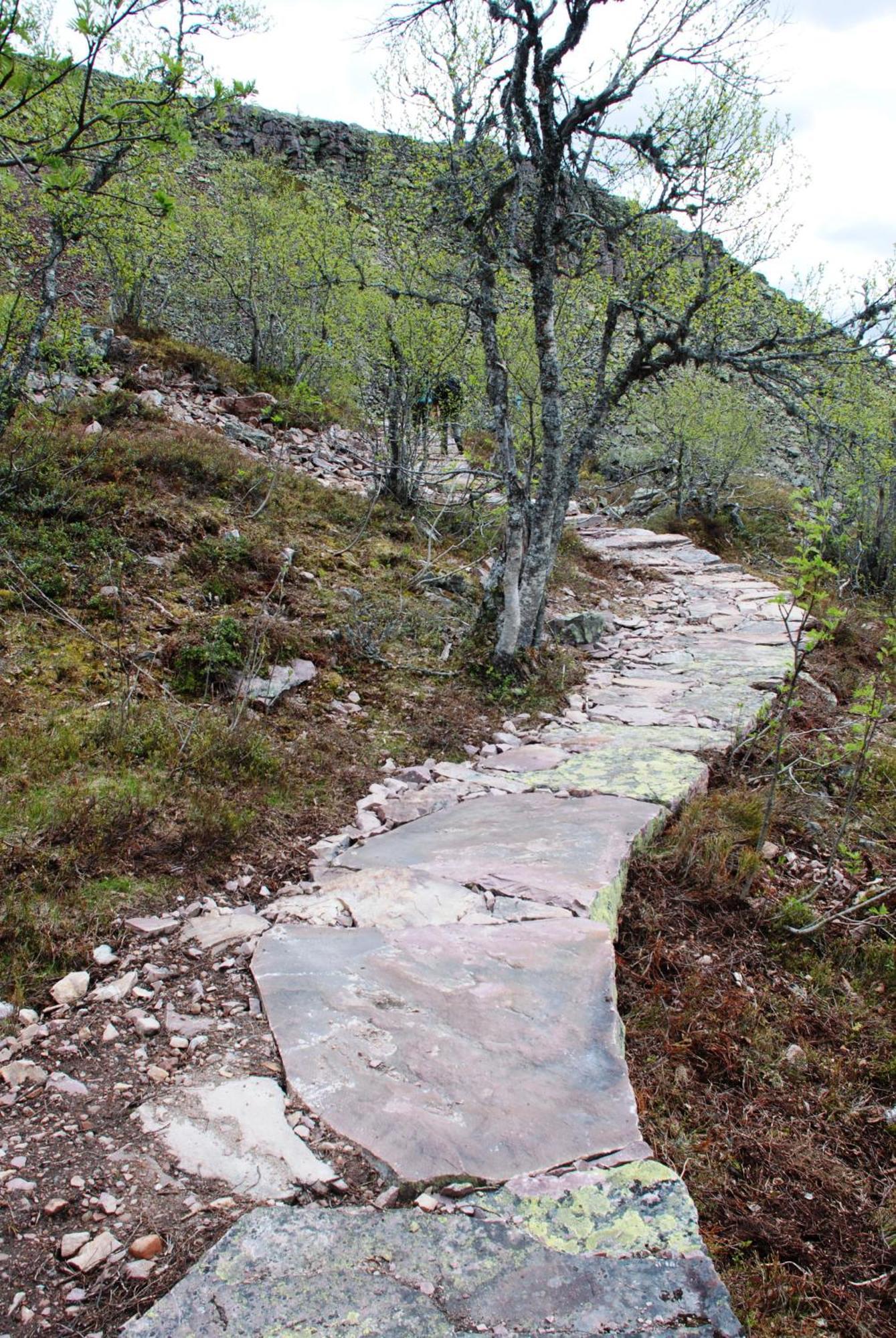 Hytte Anno 1721 Uten Internett, Strom, Vann - Men Med Rodmalt Utedo Ljordal Bagian luar foto