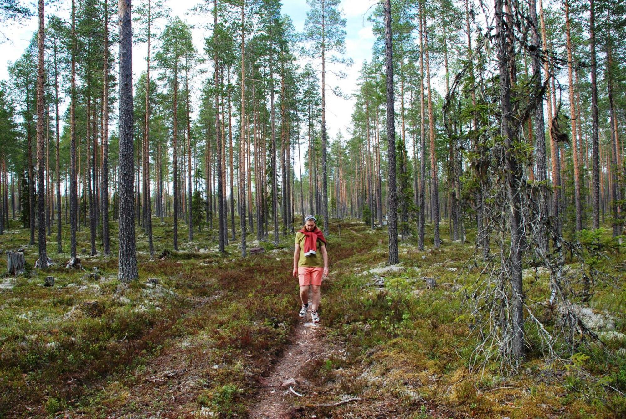 Hytte Anno 1721 Uten Internett, Strom, Vann - Men Med Rodmalt Utedo Ljordal Bagian luar foto