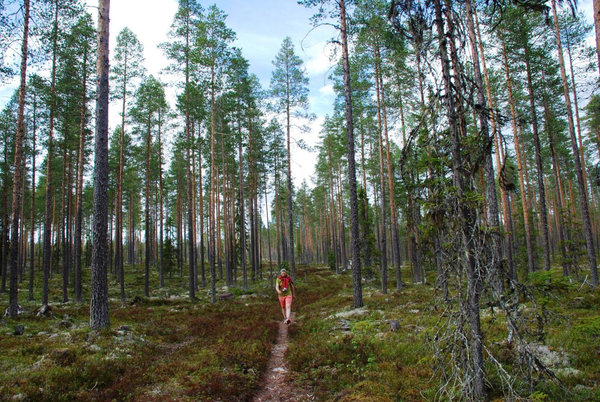 Hytte Anno 1721 Uten Internett, Strom, Vann - Men Med Rodmalt Utedo Ljordal Bagian luar foto