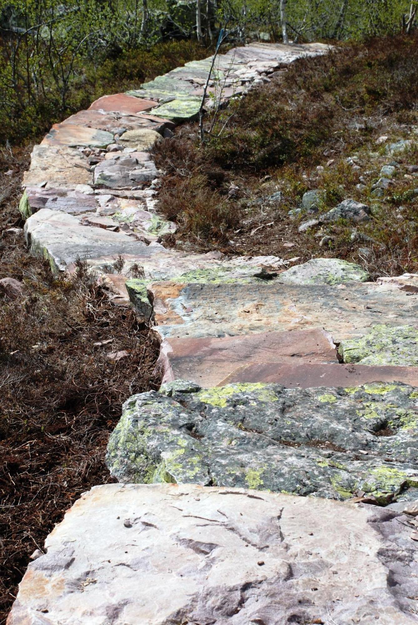 Hytte Anno 1721 Uten Internett, Strom, Vann - Men Med Rodmalt Utedo Ljordal Bagian luar foto