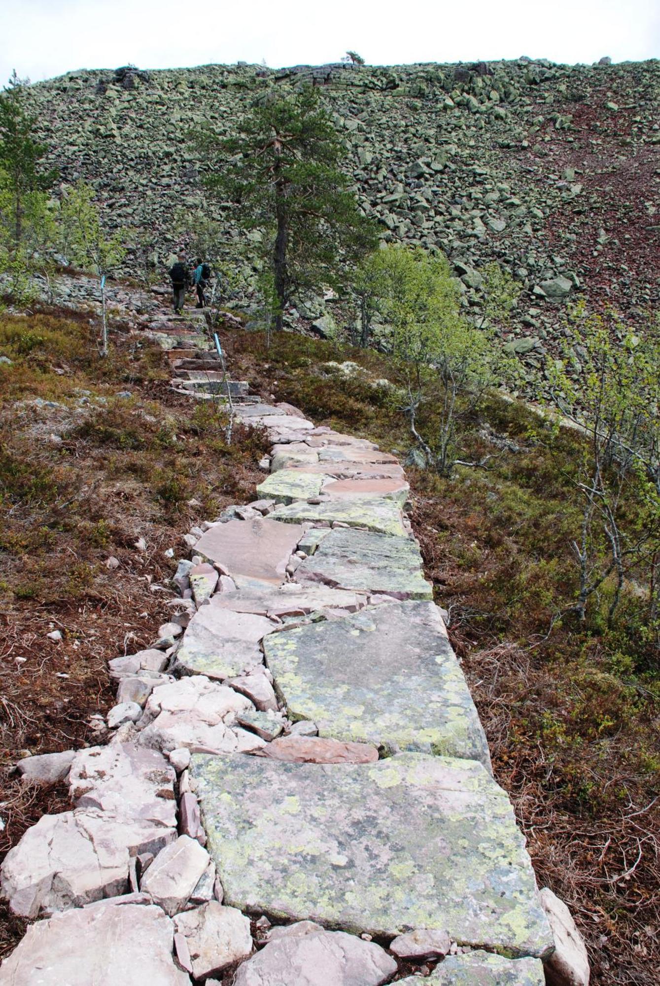 Hytte Anno 1721 Uten Internett, Strom, Vann - Men Med Rodmalt Utedo Ljordal Bagian luar foto