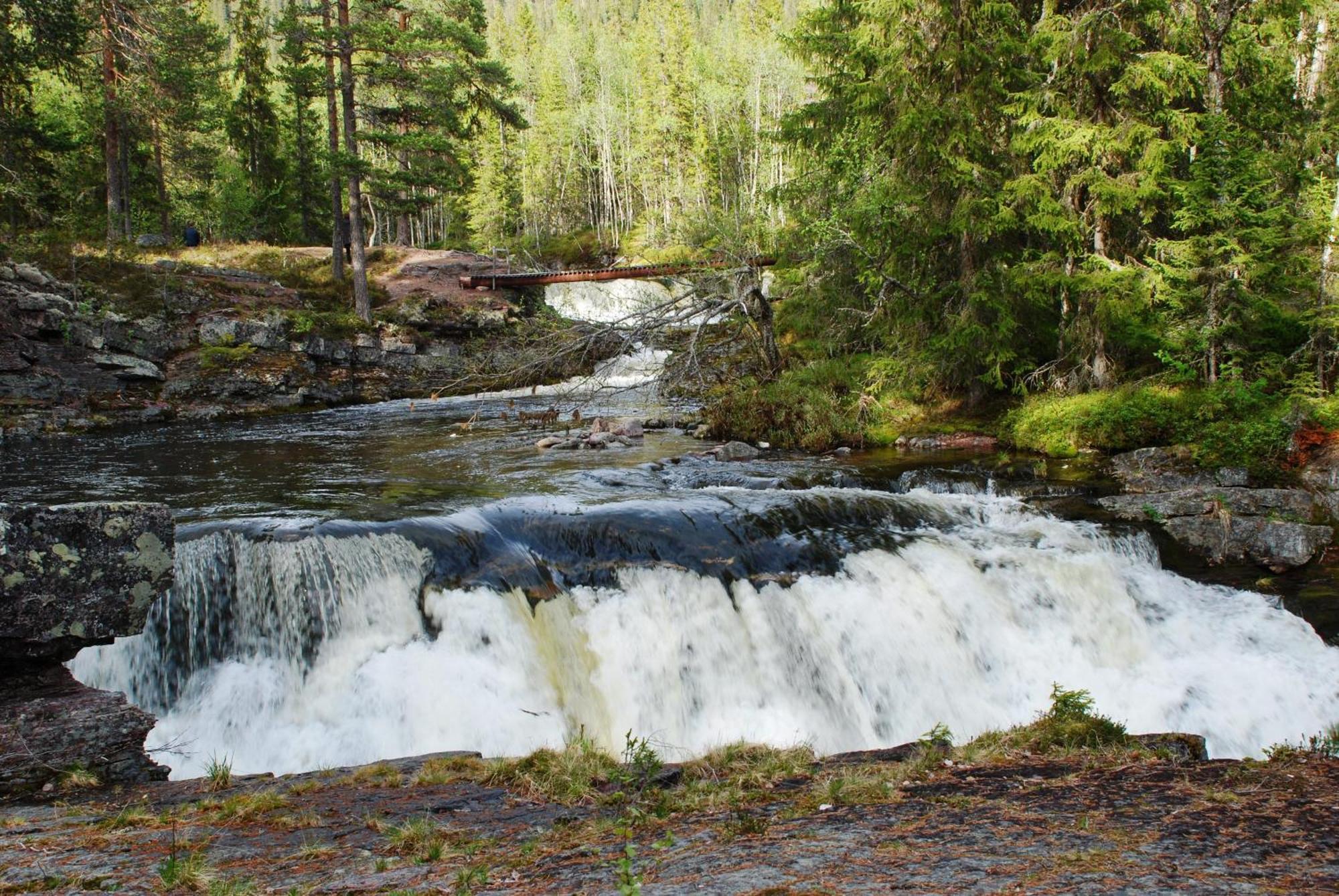 Hytte Anno 1721 Uten Internett, Strom, Vann - Men Med Rodmalt Utedo Ljordal Bagian luar foto