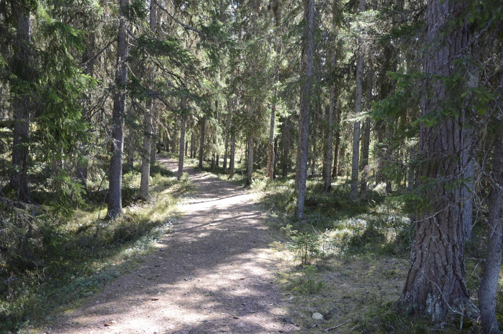 Hytte Anno 1721 Uten Internett, Strom, Vann - Men Med Rodmalt Utedo Ljordal Bagian luar foto