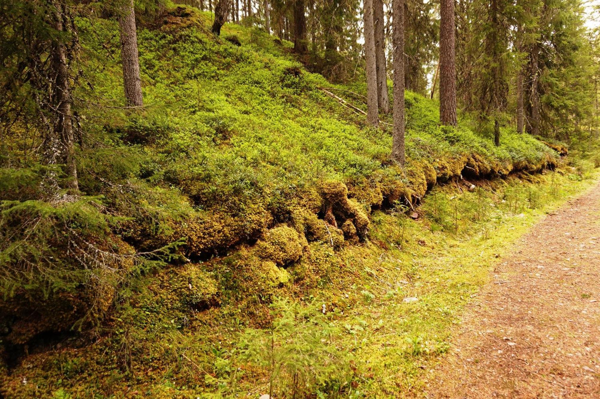 Hytte Anno 1721 Uten Internett, Strom, Vann - Men Med Rodmalt Utedo Ljordal Bagian luar foto